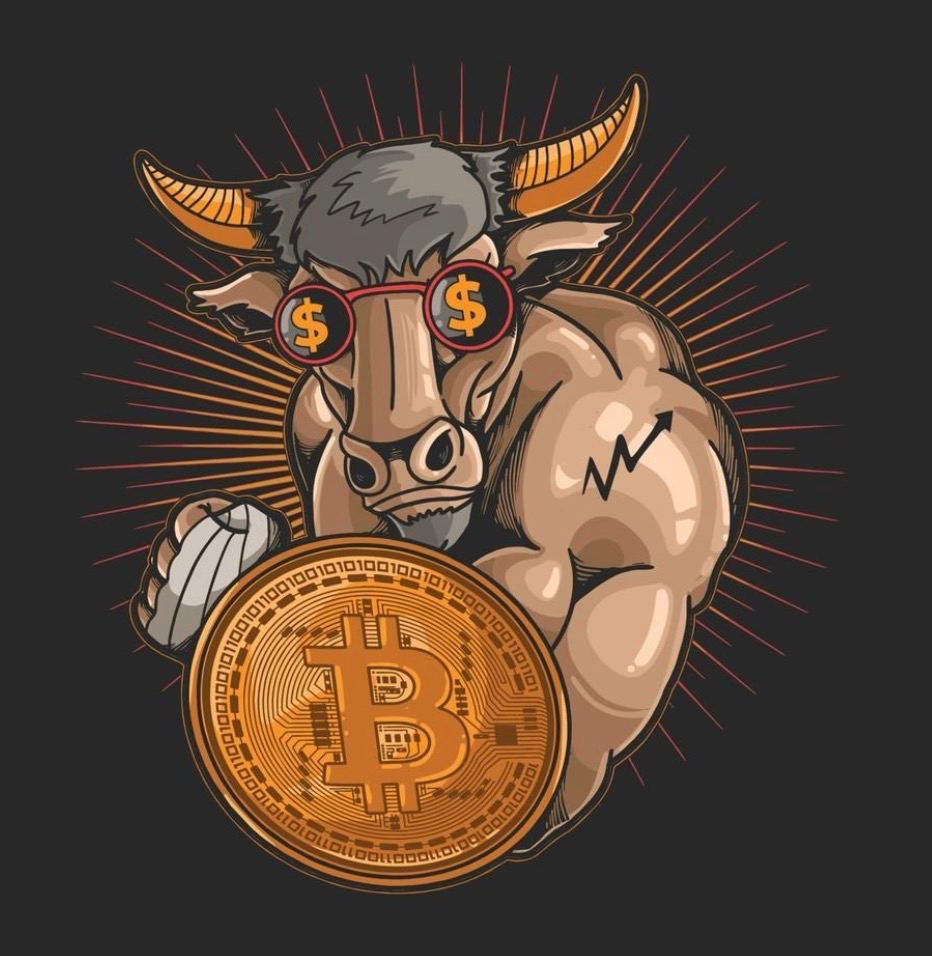 user Dima Fin avatar