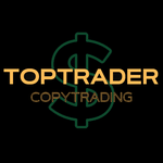 user TopTrader.VIP avatar