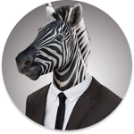 user Zebra_Capital avatar