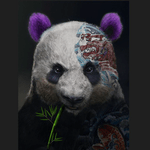 user Black Panda avatar